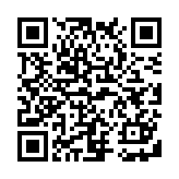 次世代faiz模拟器