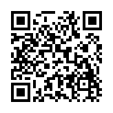 天才杀手2中文版