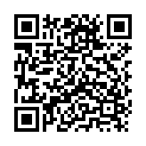 愤怒的小鸡之冲天炮