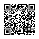 小小指挥官中文版