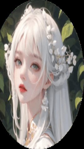 白鸟全物品安装包 521 安卓版