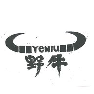 野牛电影 1.0.0 安卓版