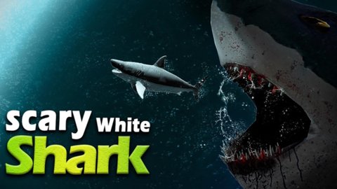 神流岛轮回的女巫