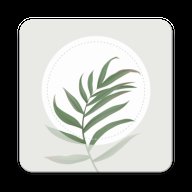 繁花盛开国际版 1.49.1 安卓版