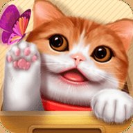 花样猫咪 2.5 安卓版