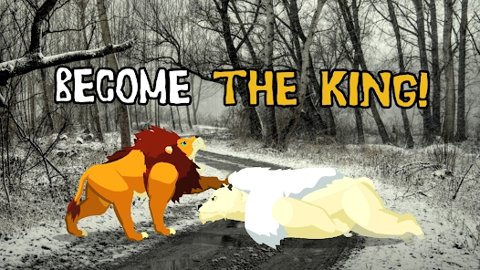 野生动物巅峰对决