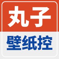 丸子壁纸控 1.0.1 安卓版