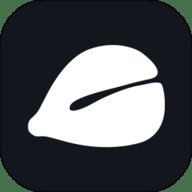 电子木鱼网页版入口