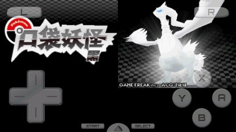 口袋妖怪黑金手指版