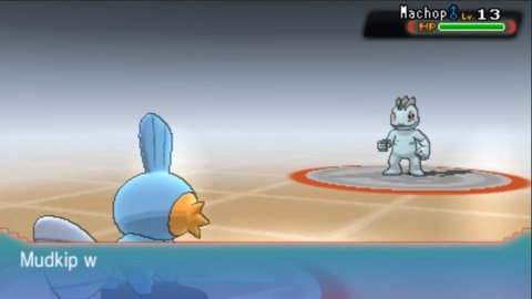 口袋妖怪究极红宝石