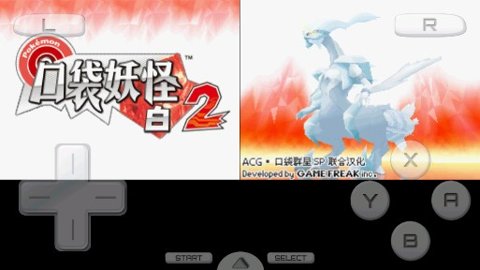 口袋妖怪白2金手指版