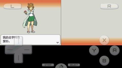 口袋妖怪白2金手指版