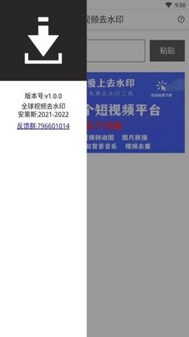 全球视频去水印软件App