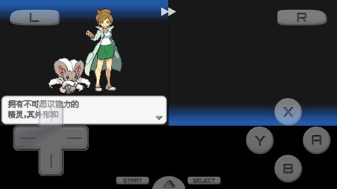 口袋妖怪黑2金手指版