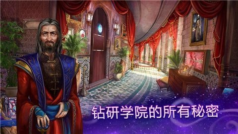 波斯之夜2月光的面纱中文版