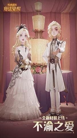 哈利波特魔法觉醒网易版