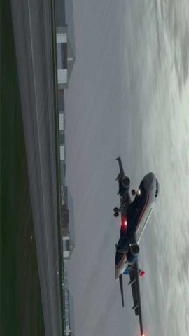 专业模拟飞行10