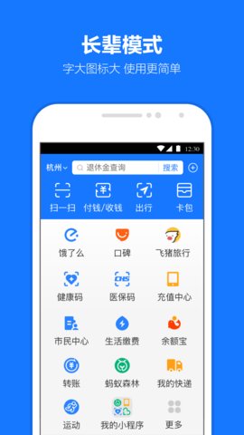 支付宝极小版App