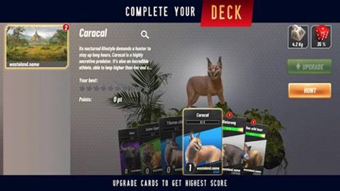 野生动物冲突手游官方版