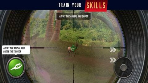 野生动物冲突手游官方版