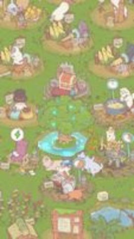 猫咪和汤国际服