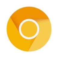chrome金丝雀版App