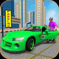 停车驾驶员模拟 v1.0 安卓版