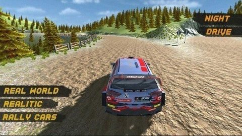 极限拉力特技赛车RallyExtremeRacing