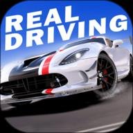 真实公路汽车2 1.1.8.407.402.0406 安卓版