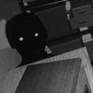 伪人监控模拟器手机版