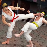 散打武术模拟 v1.0 安卓版