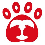 元淘客 1.9.6 安卓版