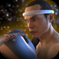 泰拳2破解版 1.0.5 安卓版