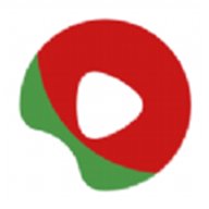 瓜皮tv电视版apk