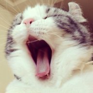 小喵直播最新官方的版本