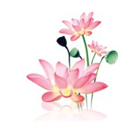 水墨工具箱 1.0.7 安卓版