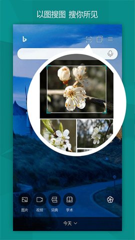 Bing微软必应国际版