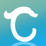 玉龙泊车极速版