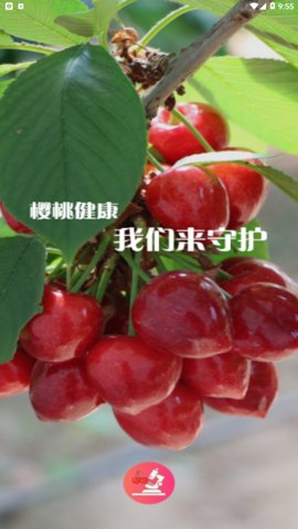 樱桃医生专业版