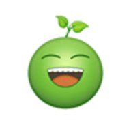 豌豆视频打扑克版