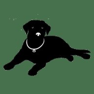 黑狗TV电视盒子版