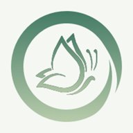 春风乍起极速版