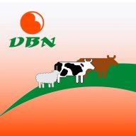 反刍科技极速版