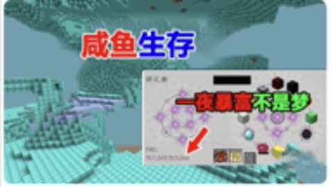 我的世界超级无敌咸鱼的钻石大陆