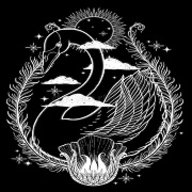 天鹅影视电视盒子版