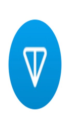 ton区块链浏览器