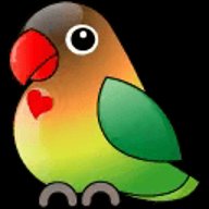 集影电视盒子版