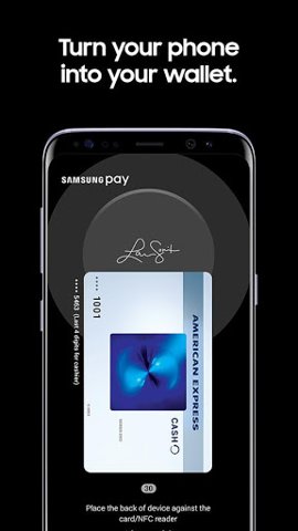SamsungPay