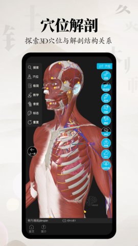 针灸大师破解版最新版