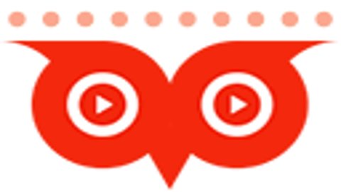 猫头鹰体育直播